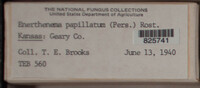 Image Associated With the Occurence